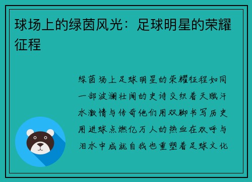 球场上的绿茵风光：足球明星的荣耀征程